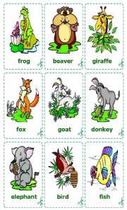 Animals Cards / flash-cards
