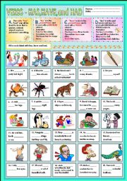 Verbs - has,have and had