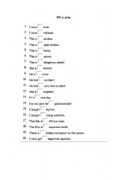 English Worksheet: A /AN