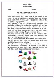 English Worksheet: An Amazing Hat