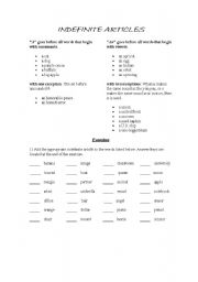 English Worksheet: Articles A or AN