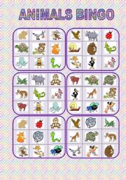 Animals bingo