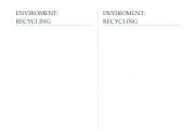 English worksheet: Enviroment: Recycling