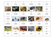 English Worksheet: Animal Board Game