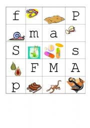 English worksheet: afmps match letters and pictures