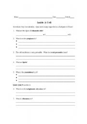 English worksheet: Inside a cell