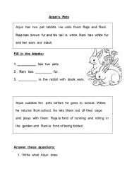 English Worksheet: Arjuns Pets