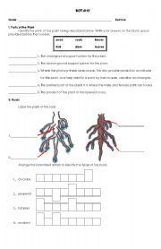English worksheet: botany-1st page