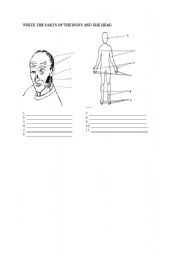 English Worksheet: parts of the body and head