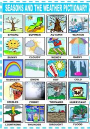 SEASONS AND THE WEATHER - PICTIONARY