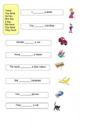 English Worksheet: Have or Has