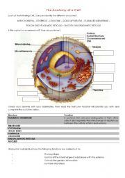 Biology - The Anatomy of a Cell
