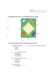 English worksheet: Baseball Quiz
