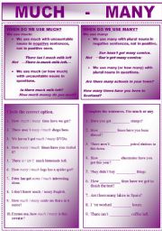 English Worksheet: MUCH OR MANY