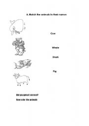 English worksheet: Having fun with animals