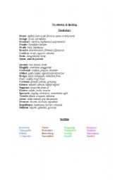 English worksheet: Vocabulary 9 Study Guide
