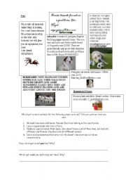 Pet Adverts - Reading and Conversation Practice