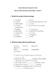 English worksheet: esl important words 