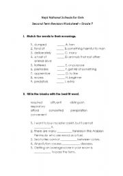 English Worksheet: esl important words 