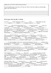 English Worksheet: Articles practice