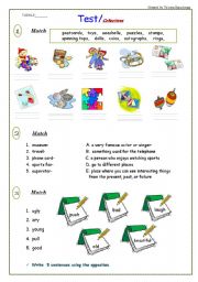 Test / Collections / 5 pages  + Reading Comprehension Task