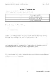 English worksheet: activities about the eukaryotic cell