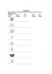 English worksheet: Name the Body Part