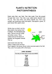 PLANTS NUTRITION - PHOTOSYNTHESIS