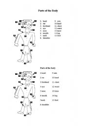 English worksheet: parts of body