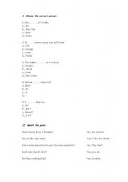 English worksheet: Present Simple Test