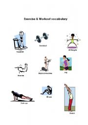 English Worksheet: Exercise and Workout Vocabulary