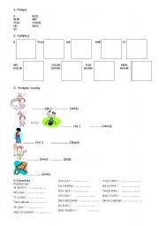 English worksheet: possesive adjectives