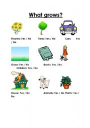 English worksheet: What grows?