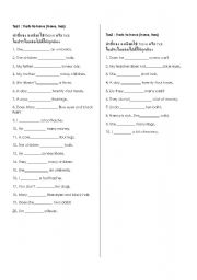 English worksheet: Verb to have