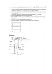 English worksheet: Parts or the body