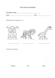 English Worksheet: Wild Animals Workshop