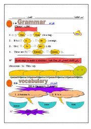 English worksheet: test for grade three