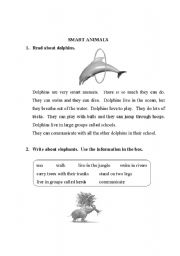 English Worksheet: Can -cant
