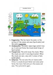The Earth Water cycle
