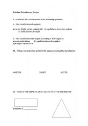 English worksheet: Estuding Triangles and Angles