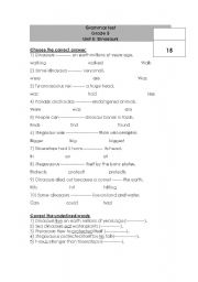 English worksheet: Grammer test