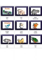 English Worksheet: ANIMALS