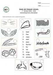 animal body parts worksheets