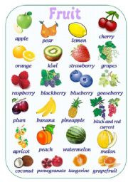 FRUIT PICTURE DICTIONARY