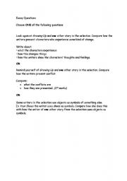 English Worksheet: Essay questions