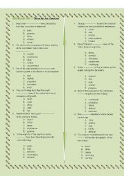 English Worksheet: Vocabulary Test 1