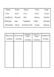 English Worksheet: Systems of the human body