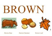 English Worksheet: Brown Color