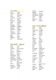 English Worksheet: body parts vocabulary