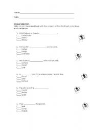 English Worksheet: Vocabulary practice